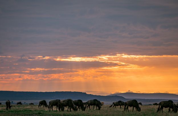 kenya-landscapes-magical-sunset-sunrise-