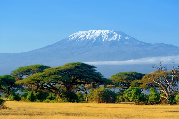 kilimanjaro-on-african-savannah