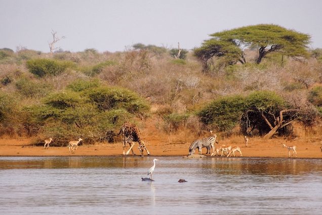 3 Days Samburu Budget Camping Safari