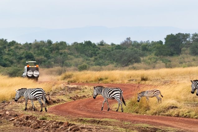 3 Days Tsavo Safari Budget Package