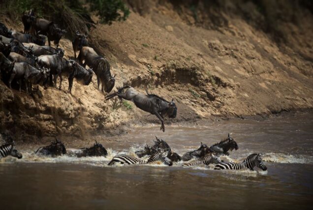 5 Days Masai Mara Great Migration Safari
