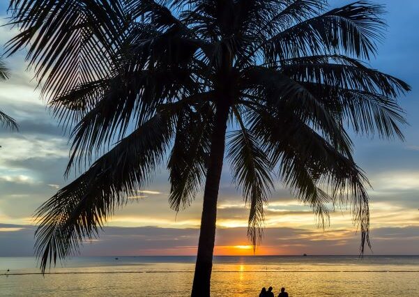 Sunset Dreams of Tunza