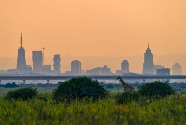 FULL-DAY NAIROBI NATIONAL PARK SAFARI, ELEPHANT ORPHANAGE & GIRAFFE CENTER TOUR