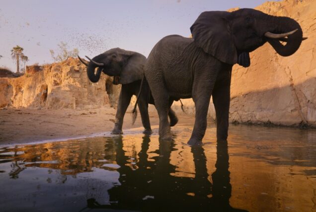 4 DAYS 3 NIGHTS TSAVO WEST MID-RANGE SAFARI