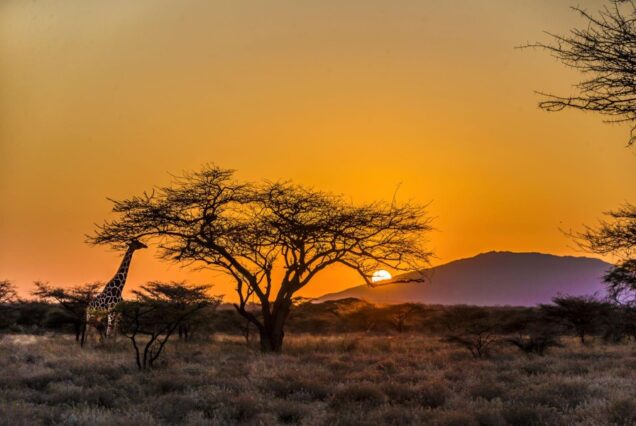 3 DAYS 2 NIGHTS SAMBURU CAMPING SAFARI