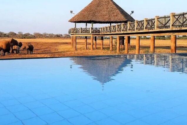 4 DAYS 3 NIGHTS TSAVO EAST MID-RANGE SAFARI