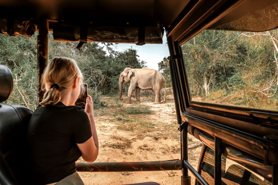 Wildlife safari during the best time to visit Masai Mara 