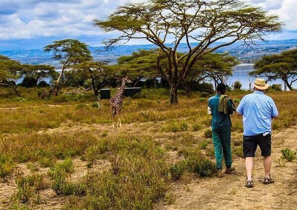 5 DAYS MASAI MARA, LAKE NAKURU & LAKE NAIVASHA SAFARI