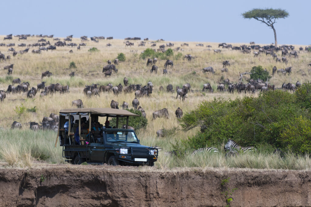 safari vehicle in the masai mara national reserve