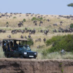 safari vehicle in the masai mara national reserve
