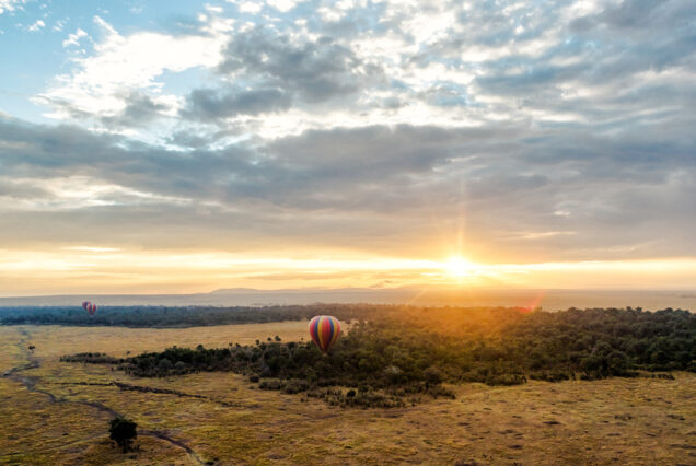 MAASAI MARA HOT AIR BALLOON SAFARI