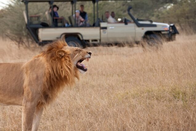 7 DAYS MASAI MARA, LAKE NAKURU & AMBOSELI CAMPING SAFARI