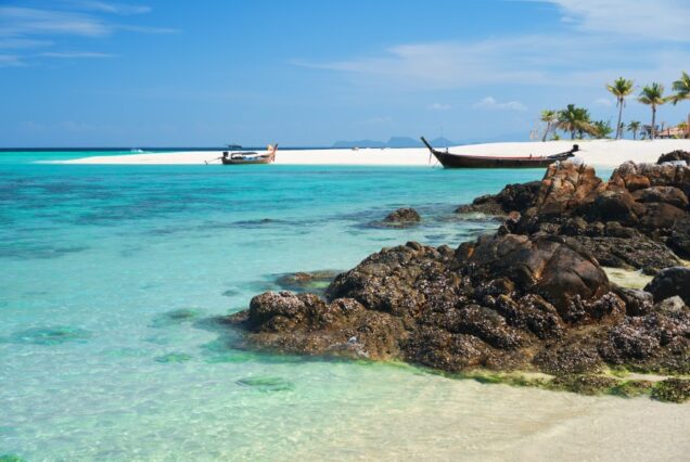 4 DAYS TSAVO EAST & DIANI BEACH SAFARI
