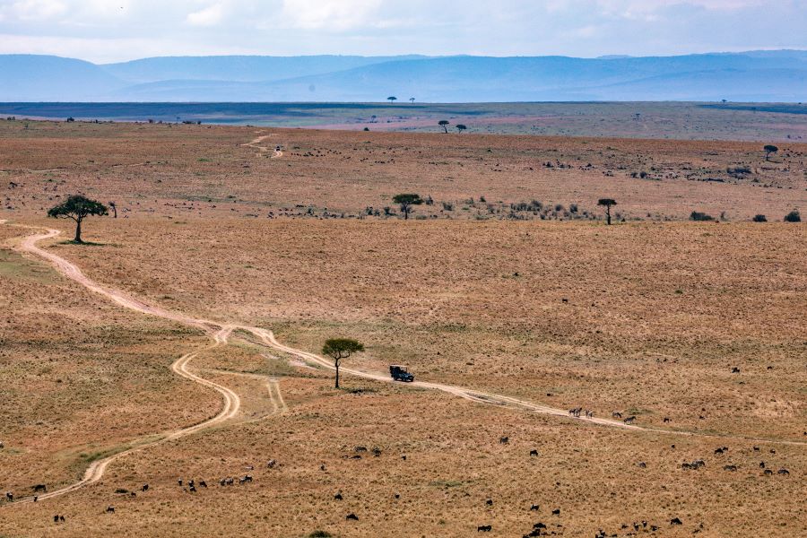 Masai Mara landscape during different safari seasons