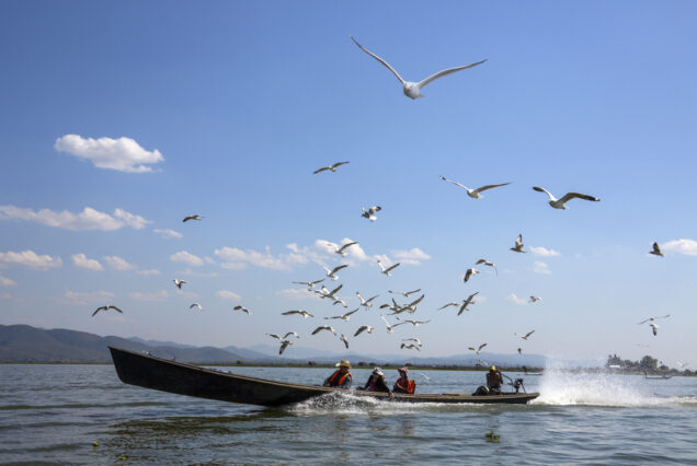 5 DAYS MASAI MARA, LAKE NAKURU & LAKE NAIVASHA LUXURY SAFARI