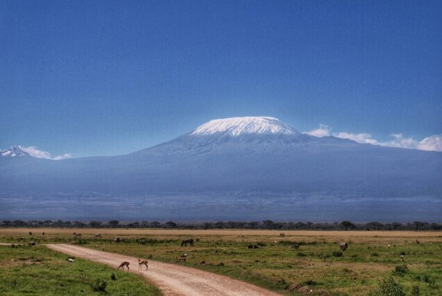 8 DAYS AMBOSELI, LAKE NAIVASHA, LAKE NAKURU & MASAI MARA PRIVATE SAFARI