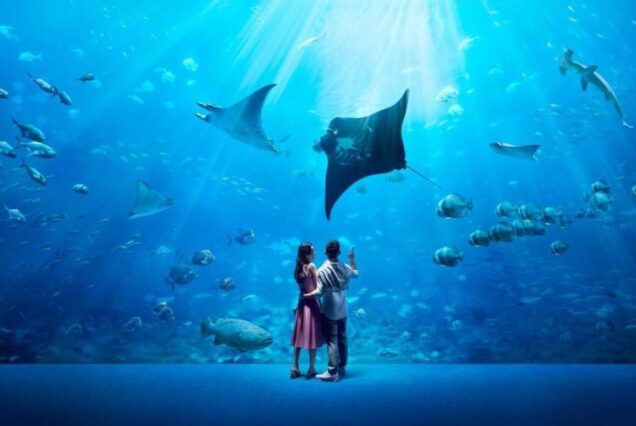 6 DAYS SINGAPORE FAMILY HOLIDAY PACKAGE FROM KENYA
