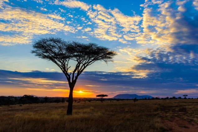 5 DAYS SERENGETI, NGORONGORO & TARANGIRE SAFARI